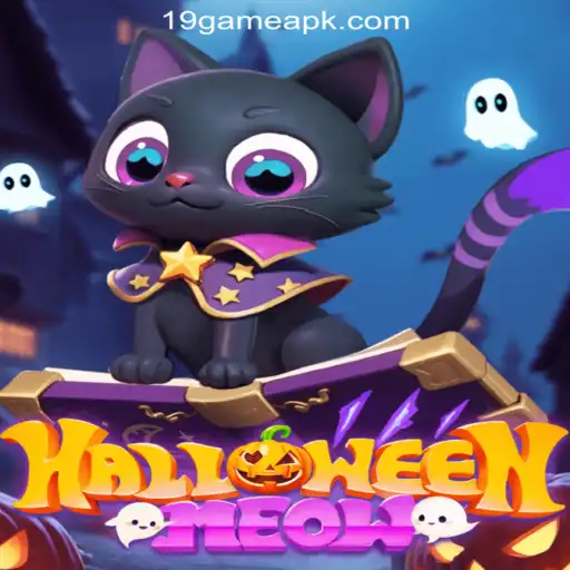 Discover HalloweenMeow: The Latest Thrill in Online Casinos